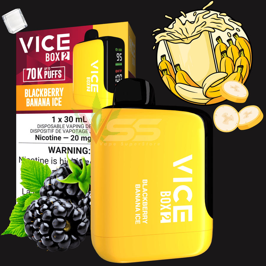 Vice Box 2 70K Disposable Vape - Blackberry Banana Ice Vape Superstore Yorkton Saskatchewan